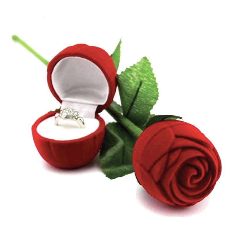 Botão de Rosa com Caule